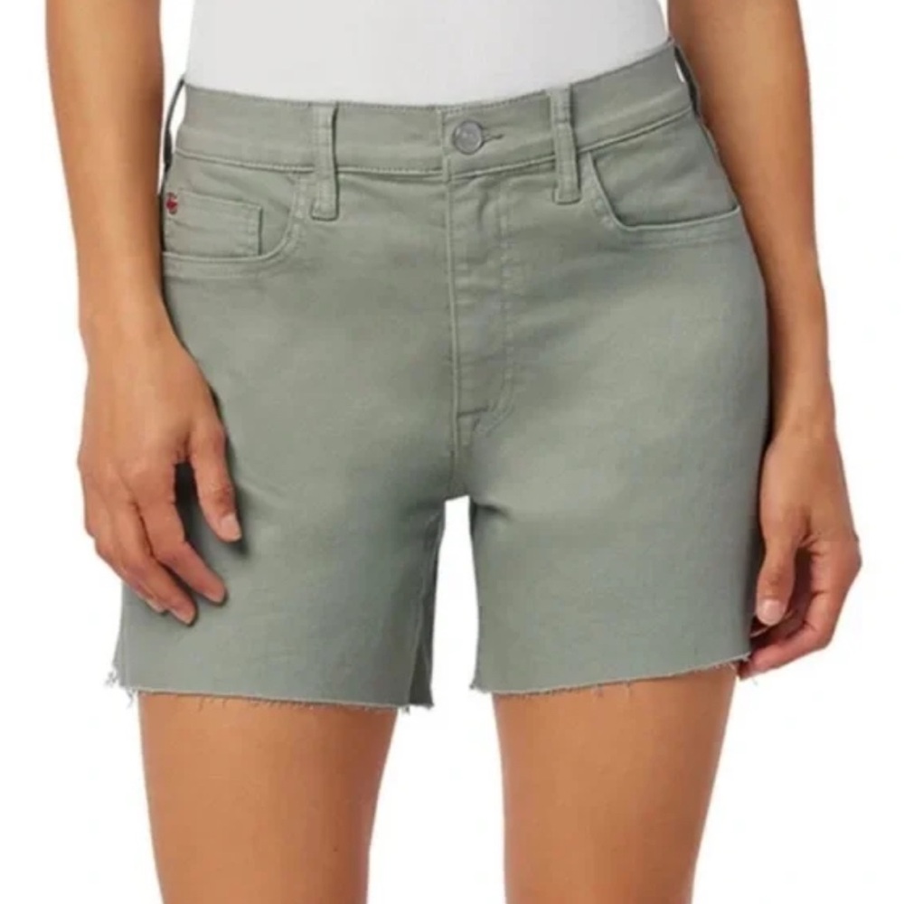 Hudson Kass Shorts in Vault Green Size 29 New